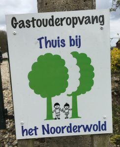 Lees meer over het artikel Gastouderopvang